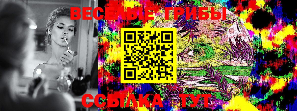 Псилоцибиновые грибы MAGIC MUSHROOMS  Вход с VPN  Кушва 